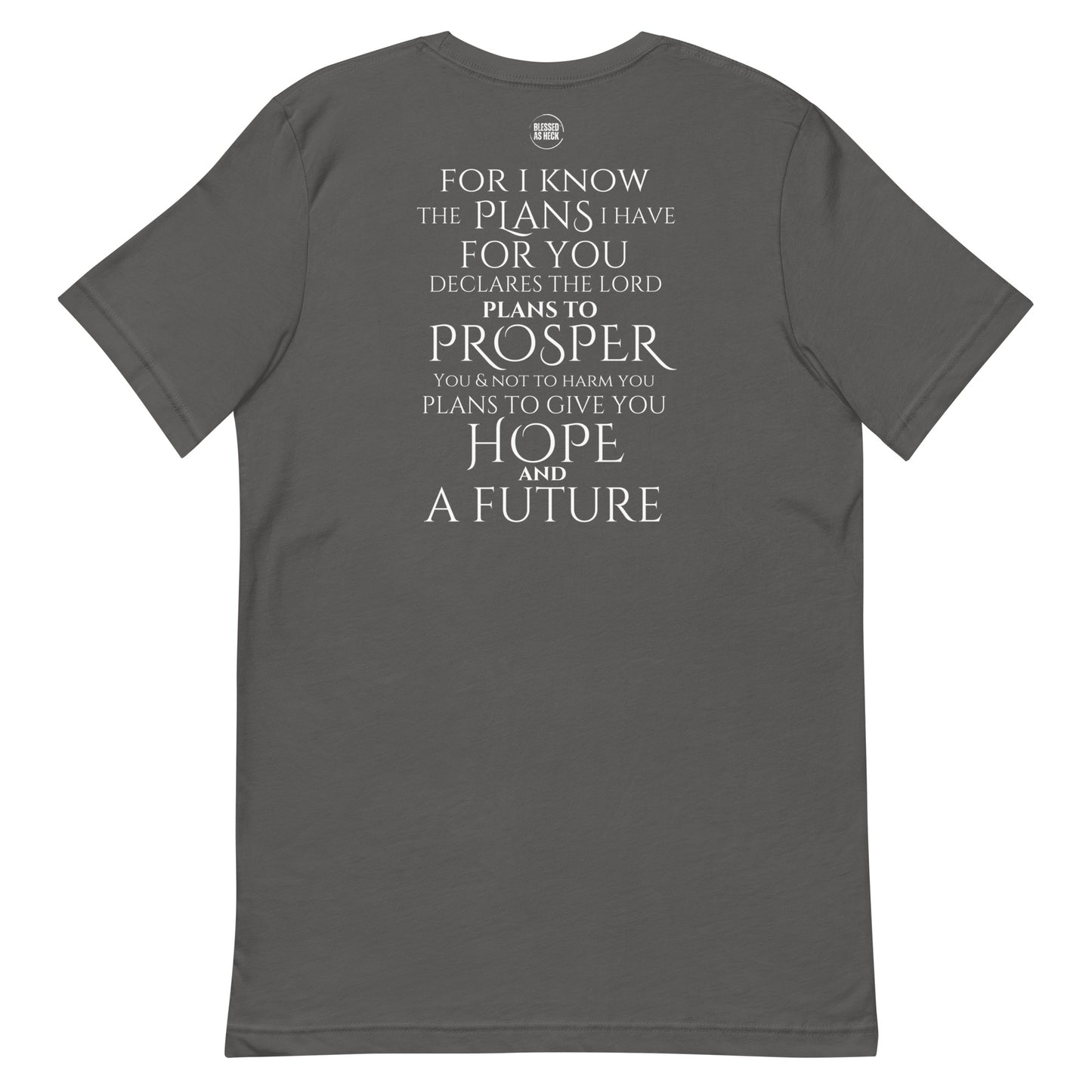 Jeremiah 29:11 Emroidered Unisex T-shirt