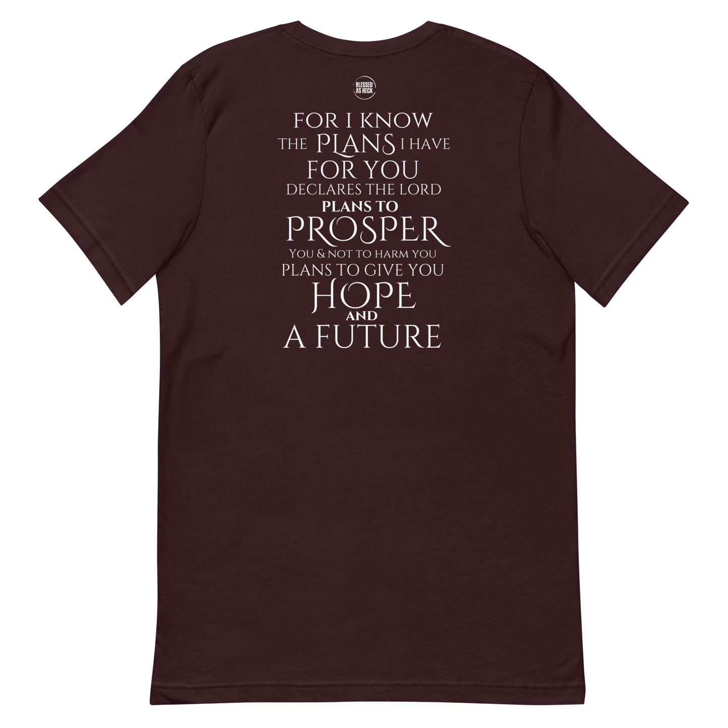 Jeremiah 29:11 Emroidered Unisex T-shirt