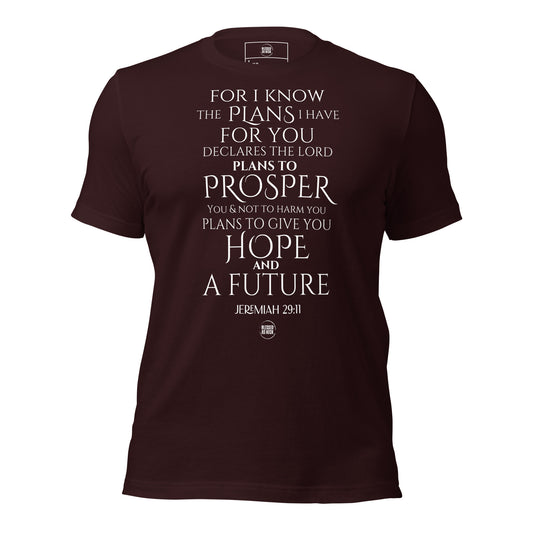 Jeremiah 29:11 Unisex T-shirt